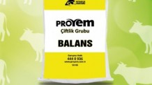 Balans Süt Yemi