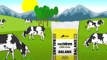Proyem Balans Reklam Filmi