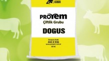 Doğuş Süt Yemi