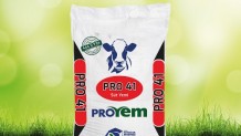 Pro 41 Süt Yemi