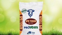 SPR Tosun Besi Yemi