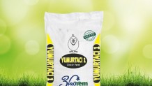 Yumurtacı 1