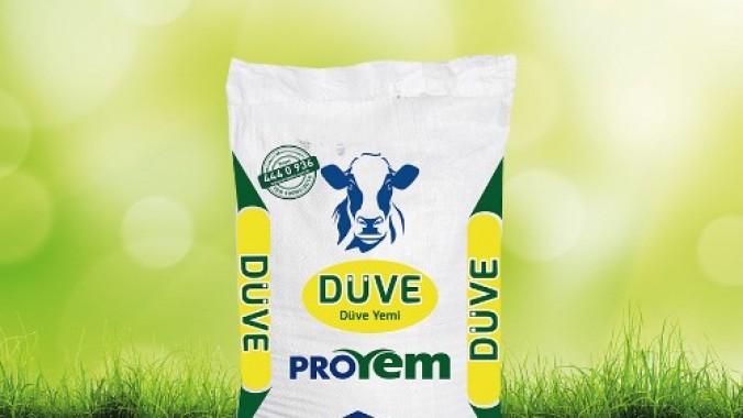 Düve Yemi