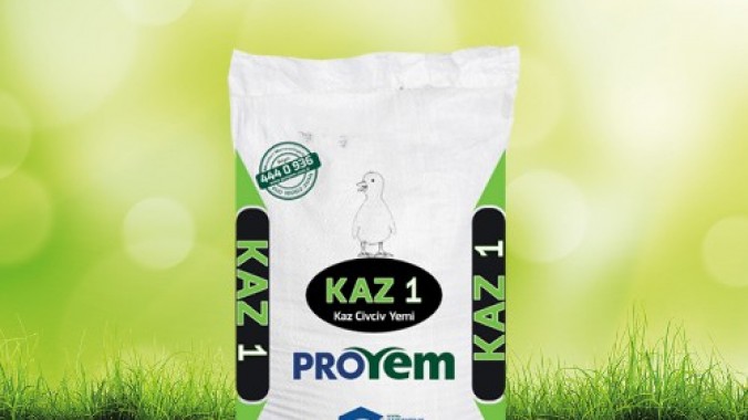 Kaz 2 Yemi