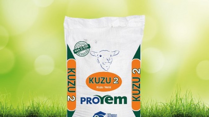 Kuzu 2