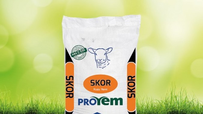 Skor Kuzu Besi Yemi