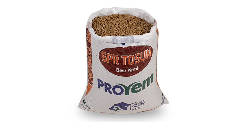 Süper Tosun Görsel 2